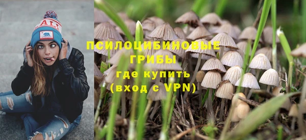таблы Белокуриха